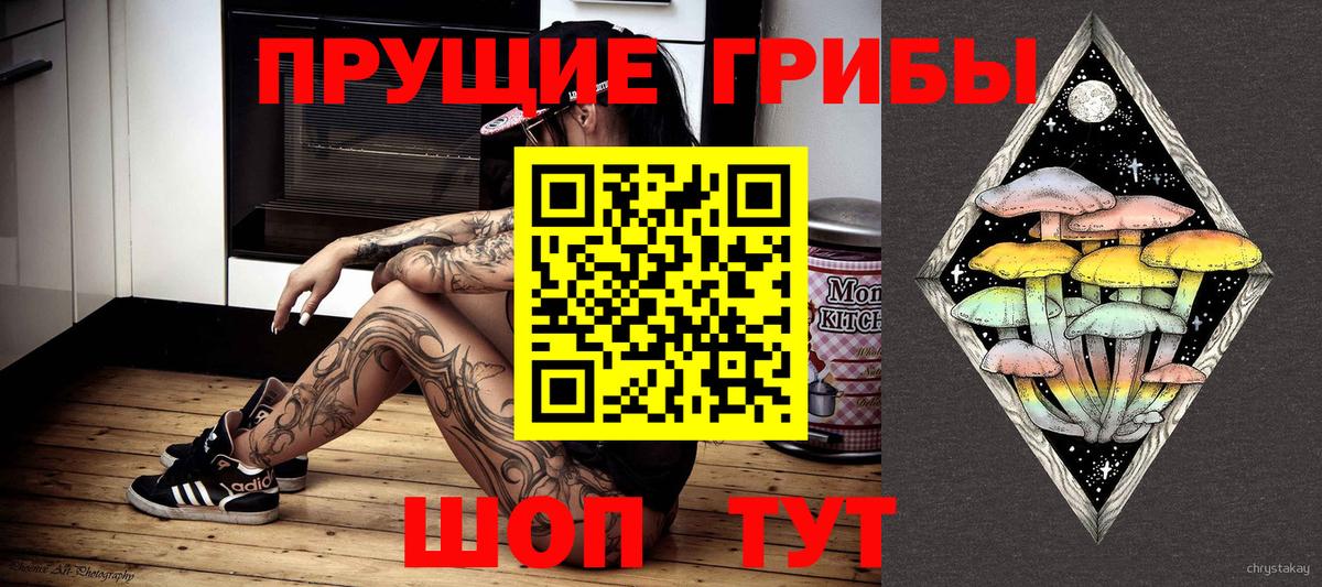 купить наркоту  Псилоцибиновые грибы Psilocybe  Вход с VPN  Кисловодск  Галлюциногенные грибы MAGIC MUSHROOMS 